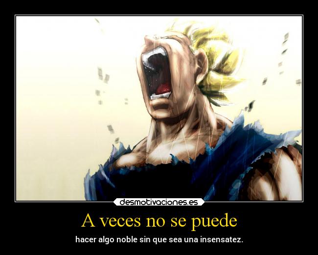 A veces no se puede - 