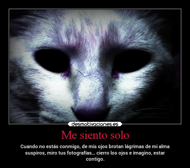 Me siento solo - Cuando no estás conmigo, de mis ojos brotan lágrimas de mi alma
suspiros, miro tus fotografías… cierro los ojos e imagino, estar
contigo.