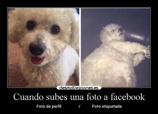 Cuando subes una foto a facebook - 