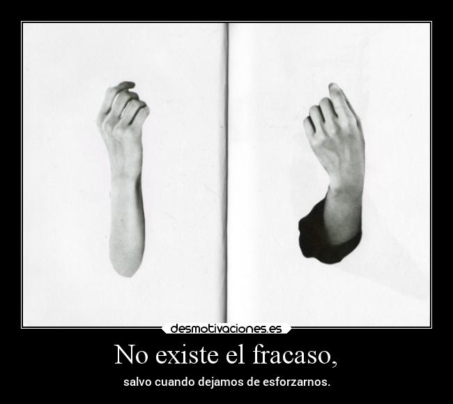 No existe el fracaso, - salvo cuando dejamos de esforzarnos.