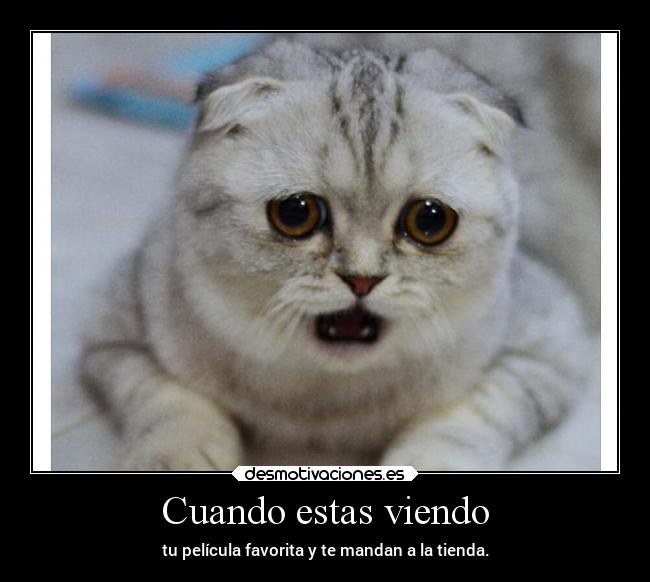 Cuando estas viendo - tu película favorita y te mandan a la tienda.