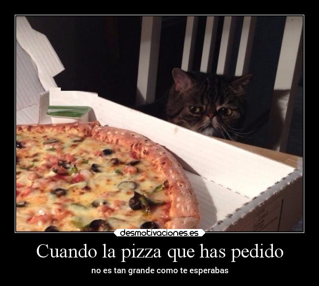Cuando la pizza que has pedido - no es tan grande como te esperabas
