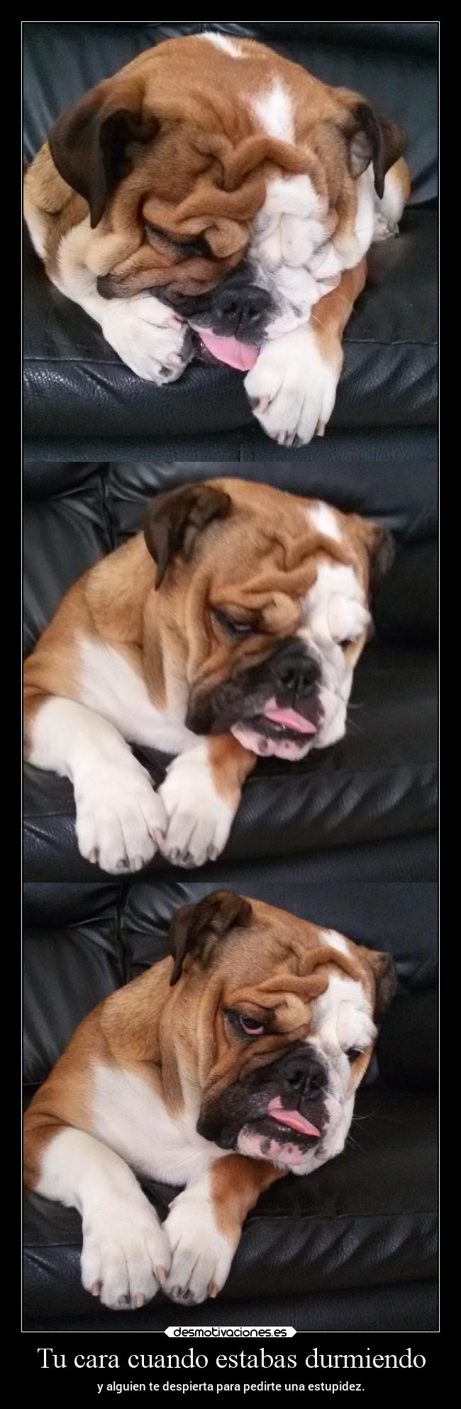 Tu cara cuando estabas durmiendo -