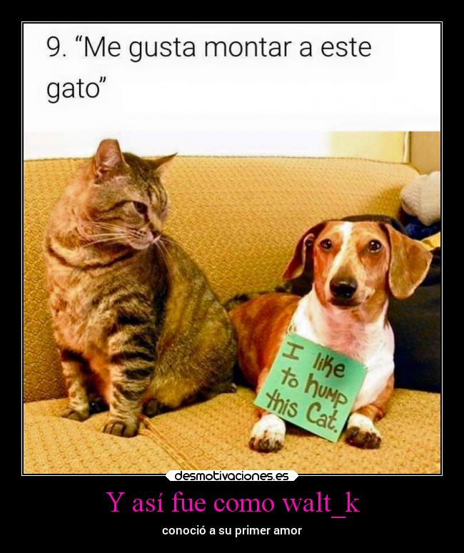 Y así fue como walt_k - conoció a su primer amor