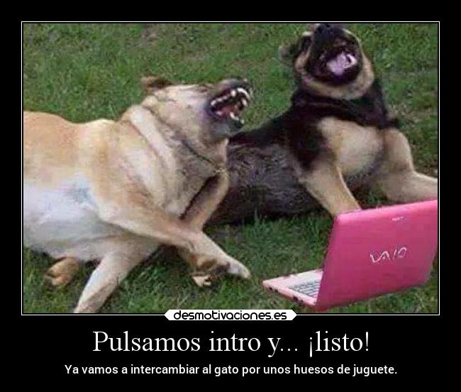 Pulsamos intro y... ¡listo! - 