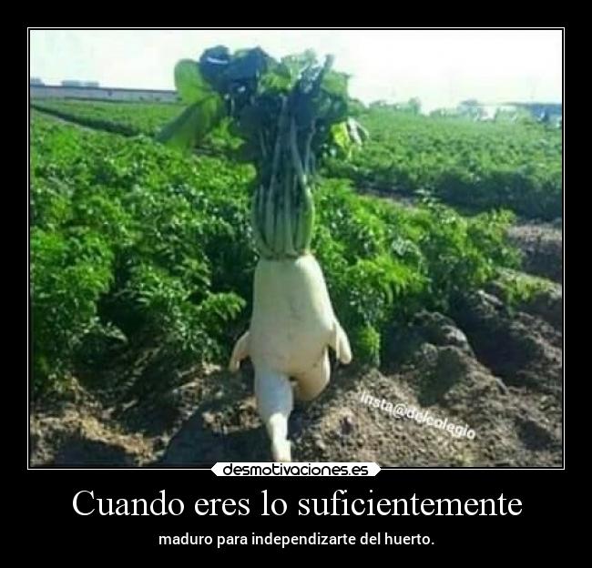 Cuando eres lo suficientemente - 