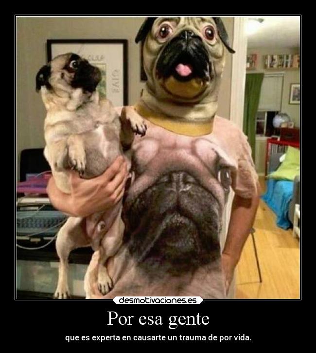 carteles humor desmotivaciones