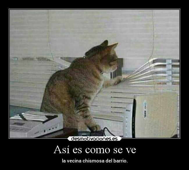 Así es como se ve - 