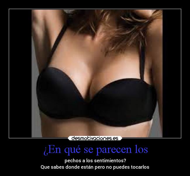 ¿En qué se parecen los -