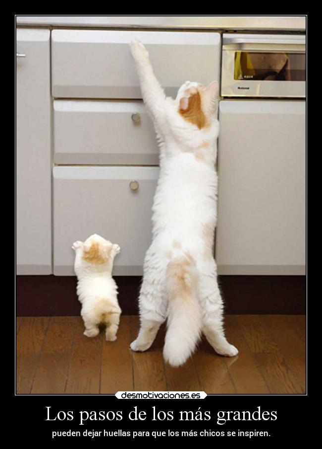 Los pasos de los más grandes -