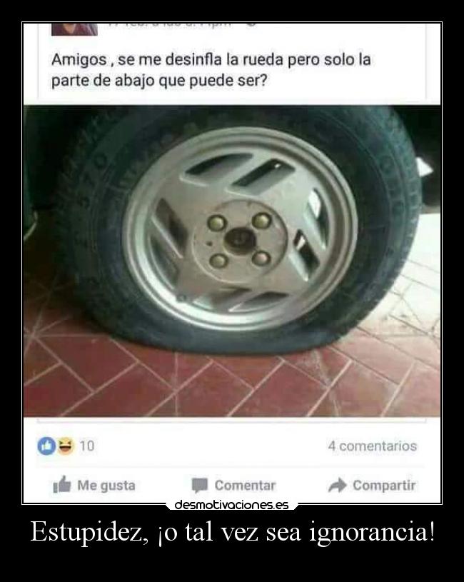 Estupidez, ¡o tal vez sea ignorancia! -