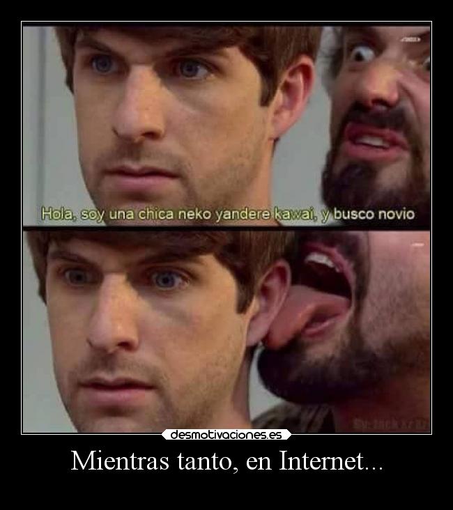 Mientras tanto, en Internet... - 