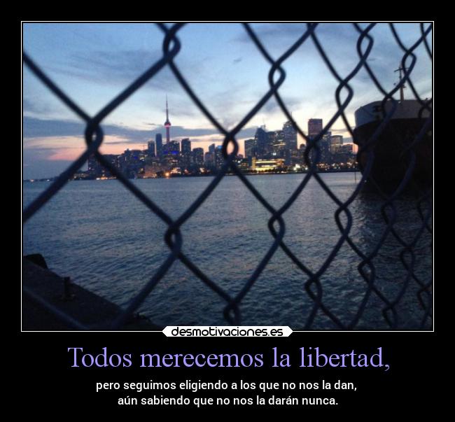 carteles libertad libertad desmotivaciones