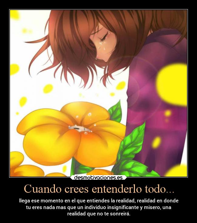 carteles llorar tristeza incomprencion realidad falsa flor undertale desmotivaciones