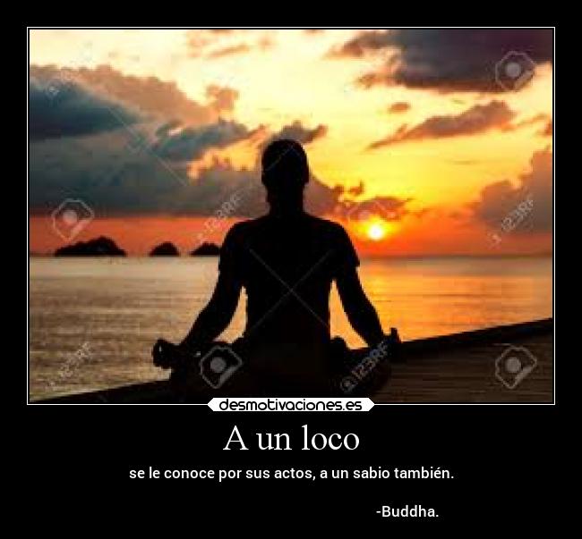 A un loco - se le conoce por sus actos, a un sabio también.
-Buddha.