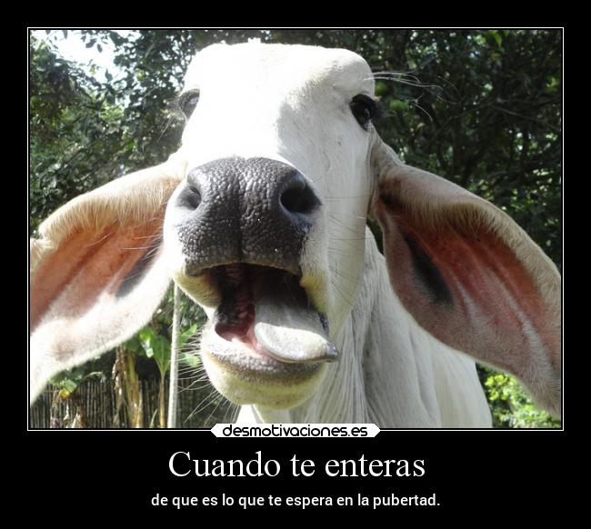 Cuando te enteras - de que es lo que te espera en la pubertad.