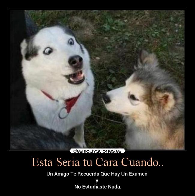 Esta Seria tu Cara Cuando.. -