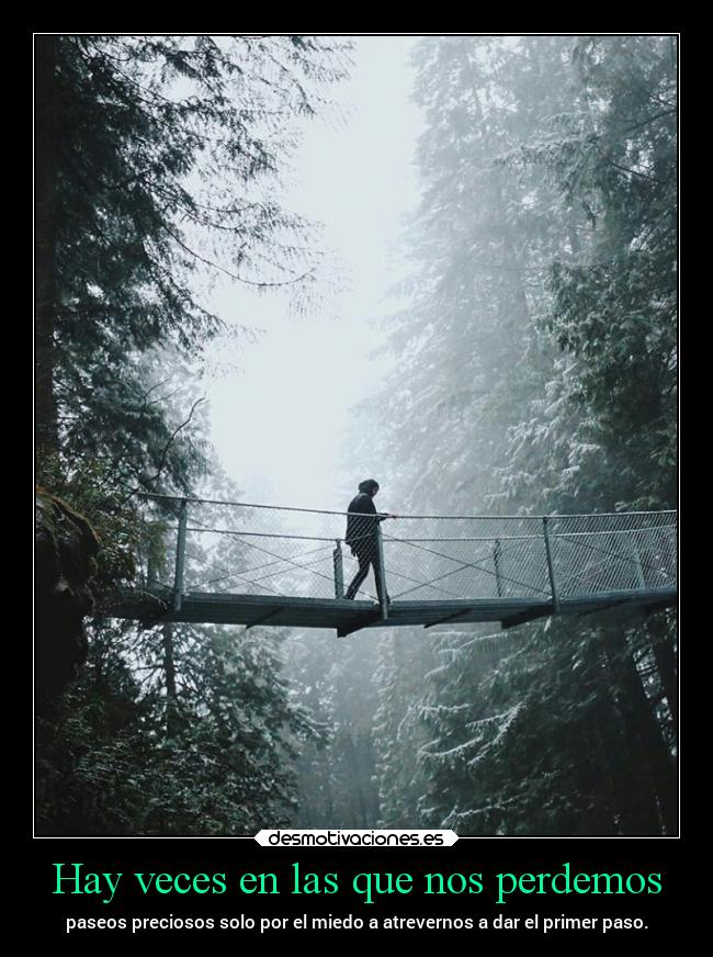 carteles miedo viajes inseguridad rilacs desmotivaciones