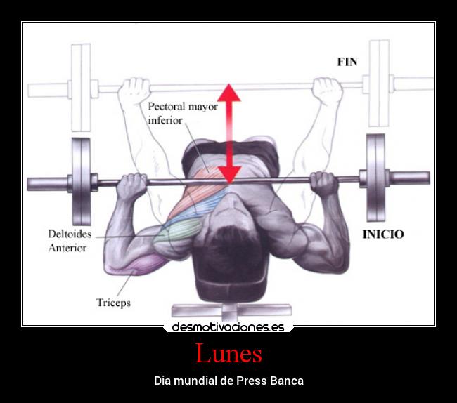 carteles motivaciones desmotivaciones