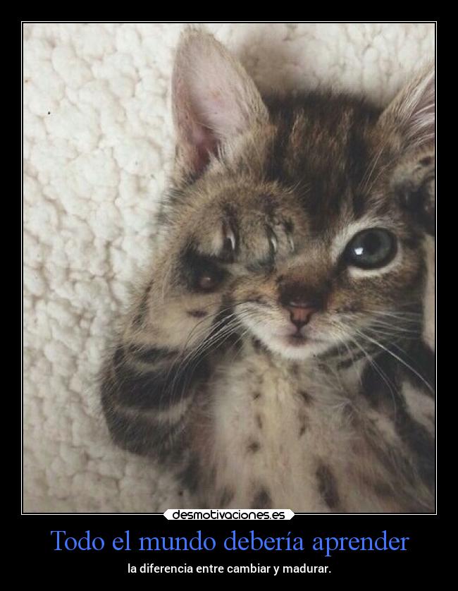 Todo el mundo debería aprender - la diferencia entre cambiar y madurar.