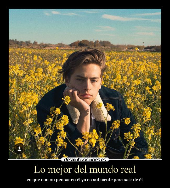 carteles mundo vida notoysegura cole desmotivaciones