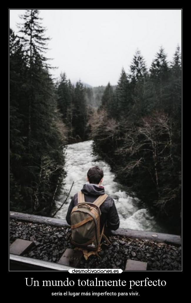 Un mundo totalmente perfecto - 