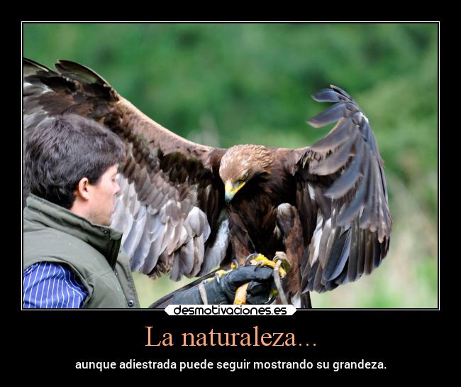 La naturaleza... - 