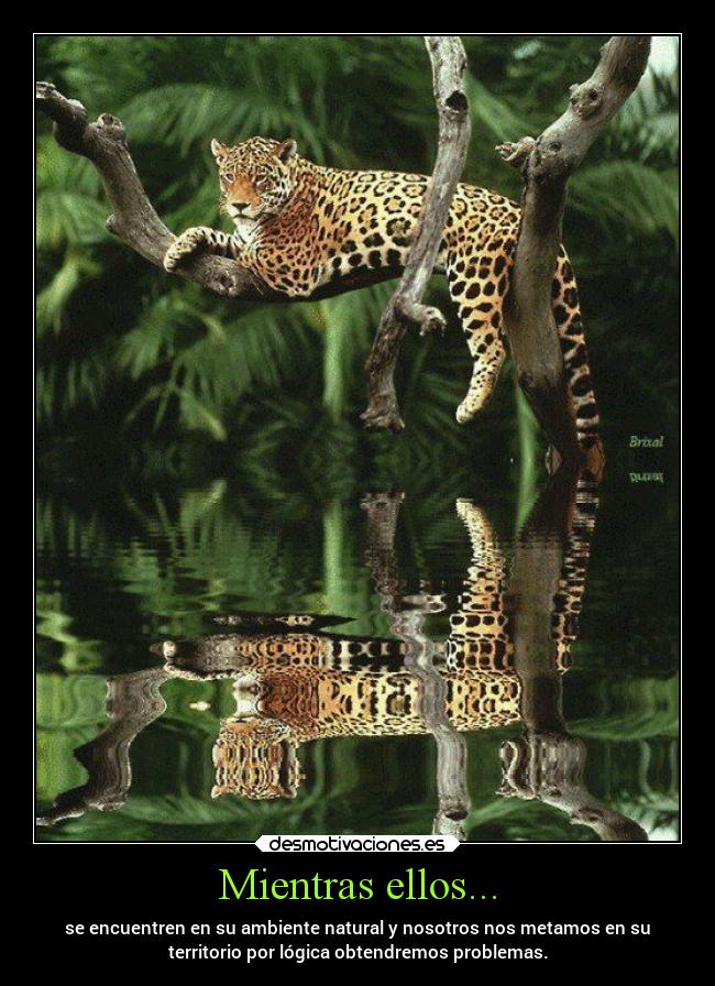 Mientras ellos... - 