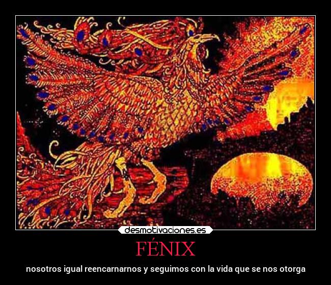 FÉNIX - 
