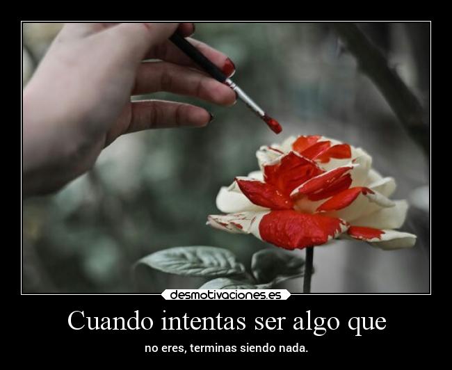 Cuando intentas ser algo que - no eres, terminas siendo nada.