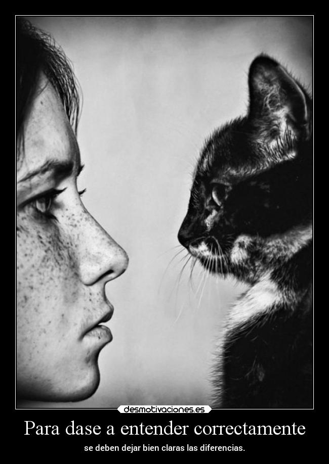 Para dase a entender correctamente -