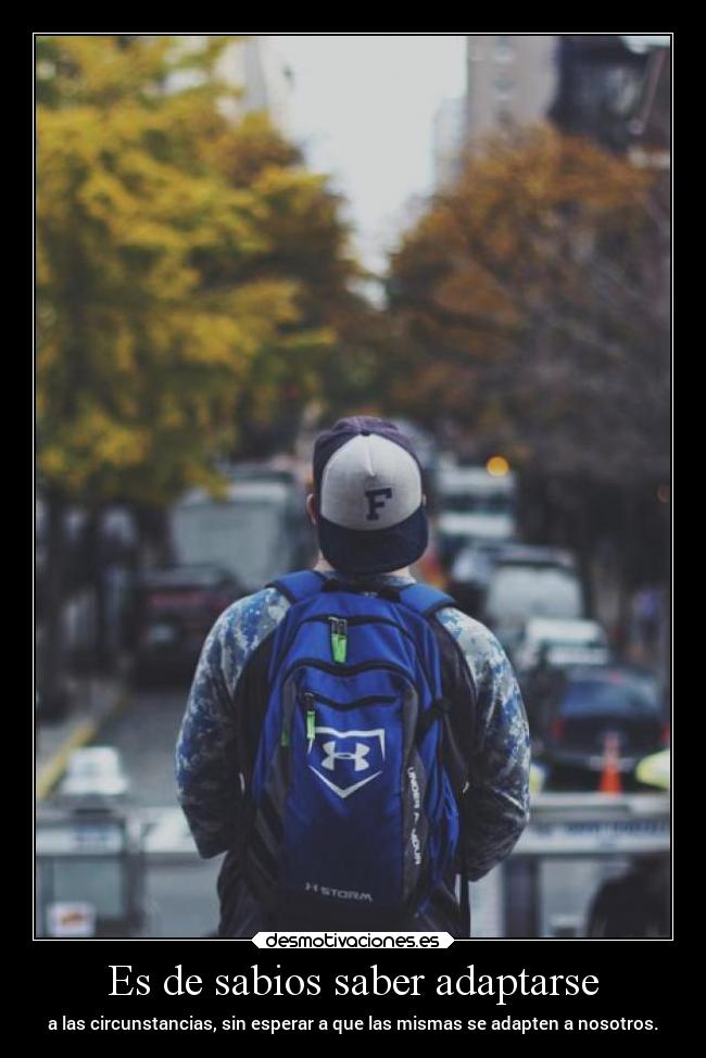 carteles pensamientos sabiduria adaptarse mipropiouniverso cosasdelavida reciclandoimagenes desmotivaciones