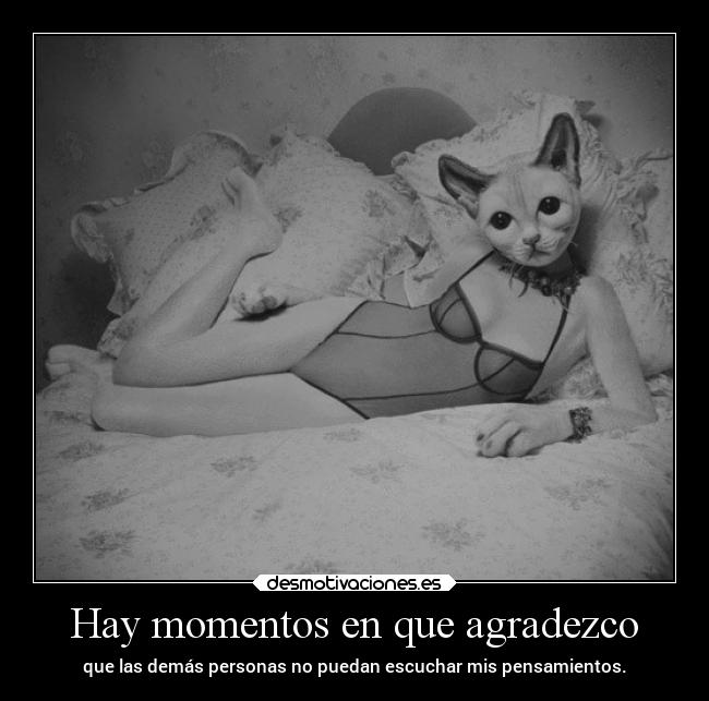 carteles risa comentarios pensamiento desmotivaciones