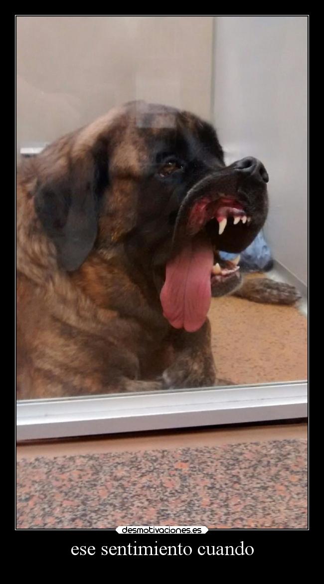 ese sentimiento cuando -