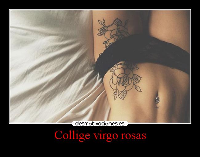 Collige virgo rosas - 