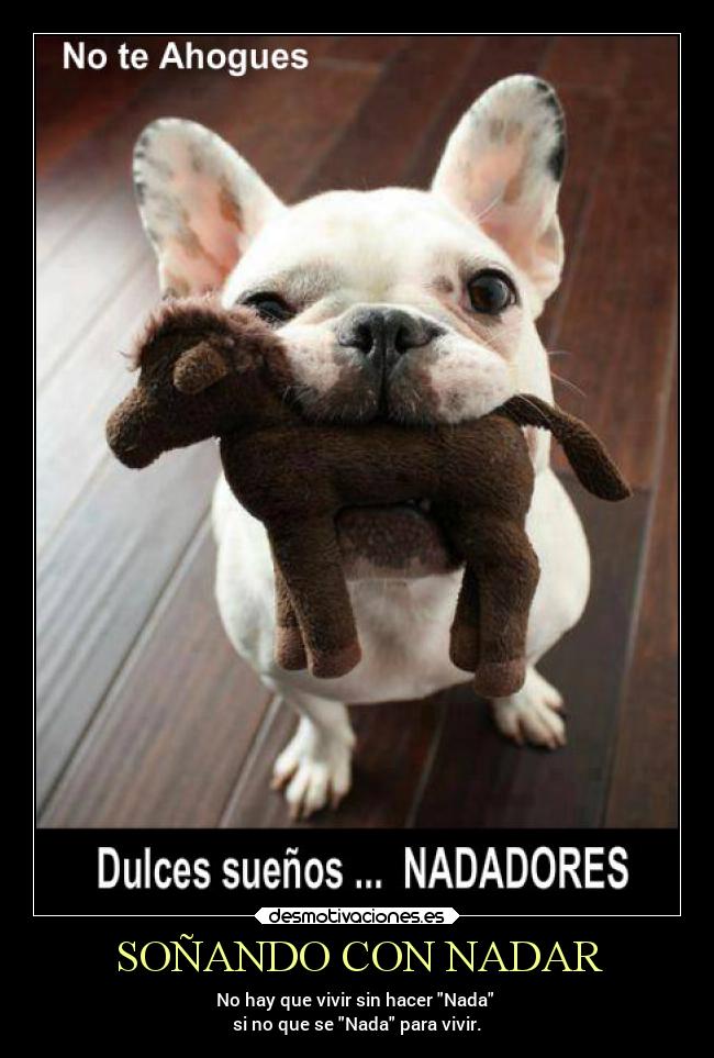 SOÑANDO CON NADAR - No hay que vivir sin hacer Nada
si no que se Nada para vivir.