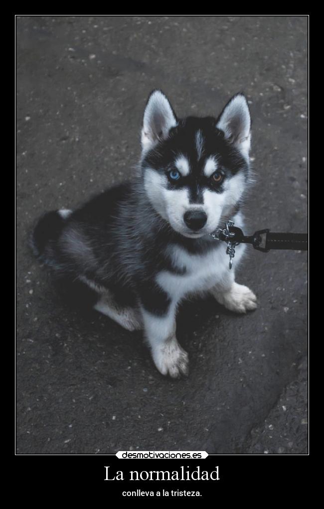 La normalidad - conlleva a la tristeza.