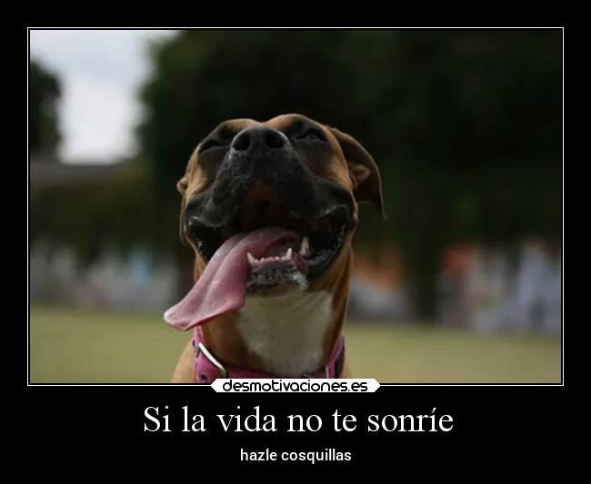 Si la vida no te sonríe - 