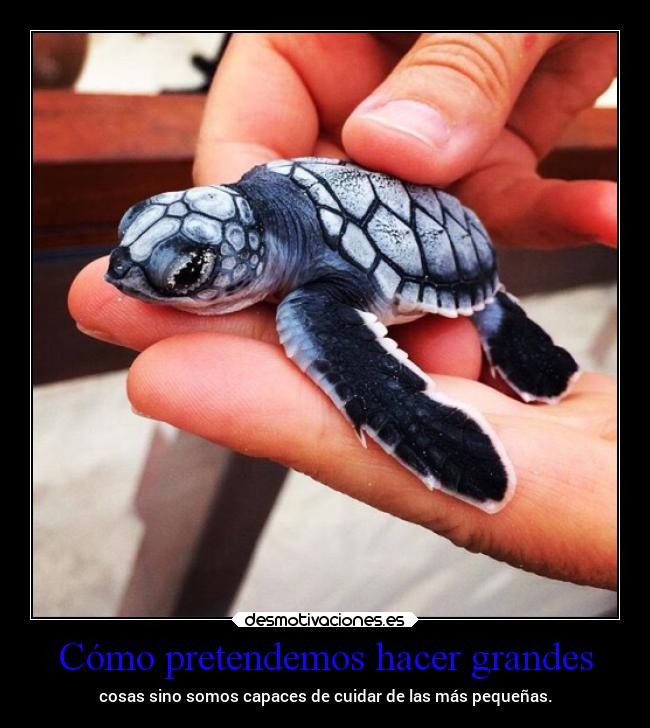 Cómo pretendemos hacer grandes - cosas sino somos capaces de cuidar de las más pequeñas.