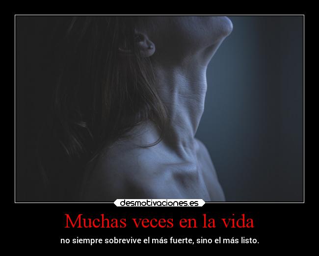 Muchas veces en la vida - 