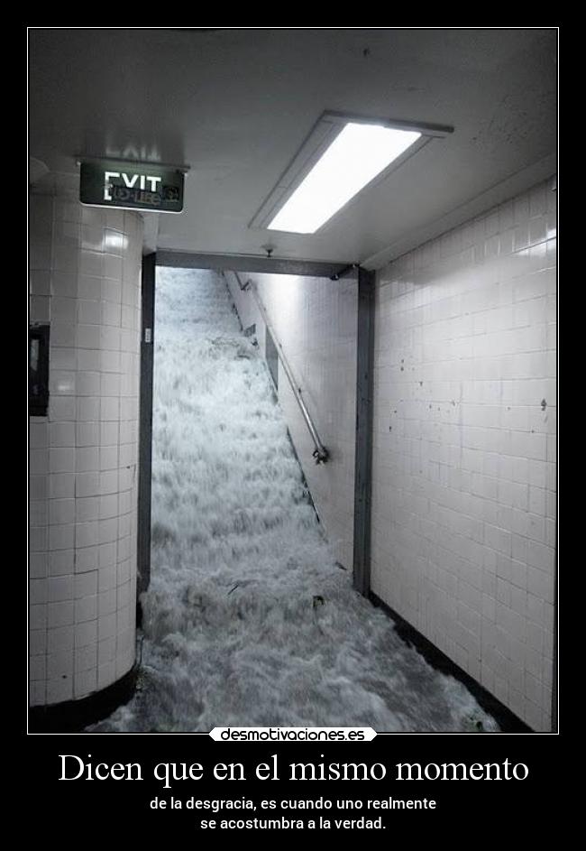 Dicen que en el mismo momento - de la desgracia, es cuando uno realmente
se acostumbra a la verdad.