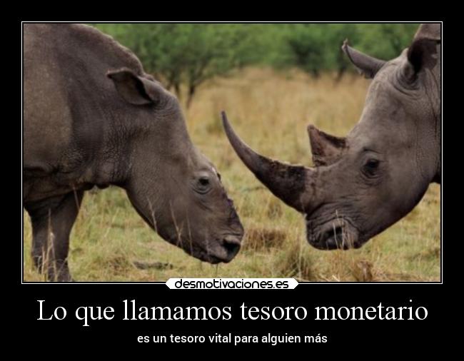 Lo que llamamos tesoro monetario -