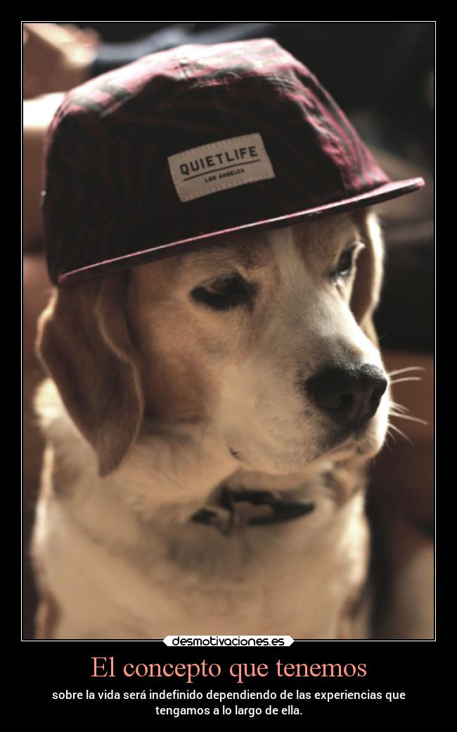 El concepto que tenemos - sobre la vida será indefinido dependiendo de las experiencias que
tengamos a lo largo de ella.