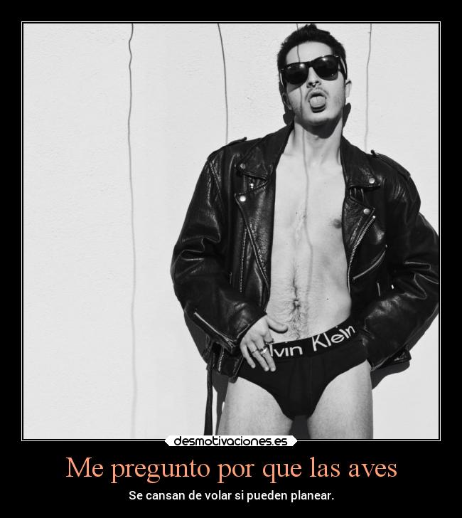 Me pregunto por que las aves - Se cansan de volar si pueden planear.