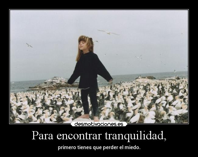 Para encontrar tranquilidad, -