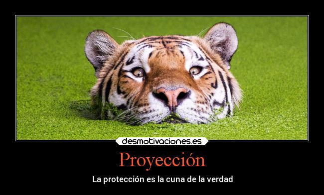 Proyección - La protección es la cuna de la verdad