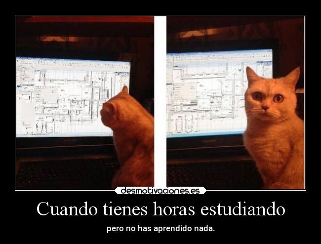 Cuando tienes horas estudiando - pero no has aprendido nada.