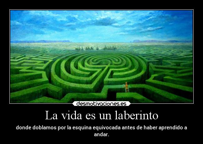 carteles vida vida desmotivaciones