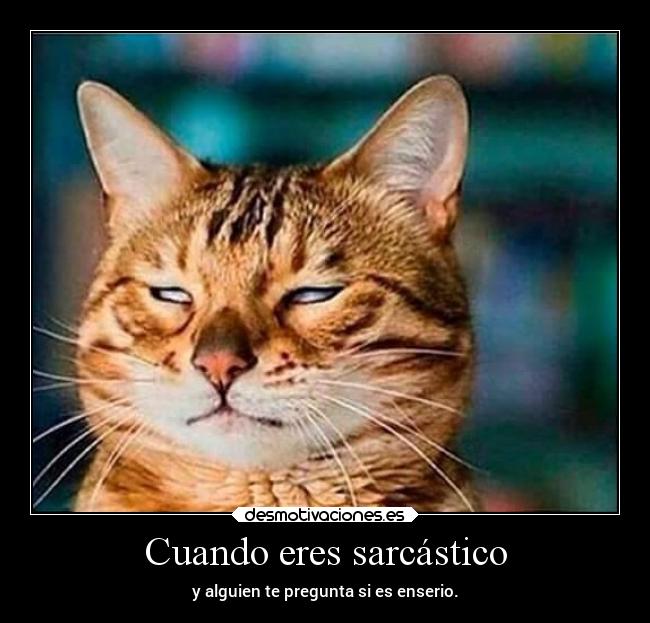 Cuando eres sarcástico - 