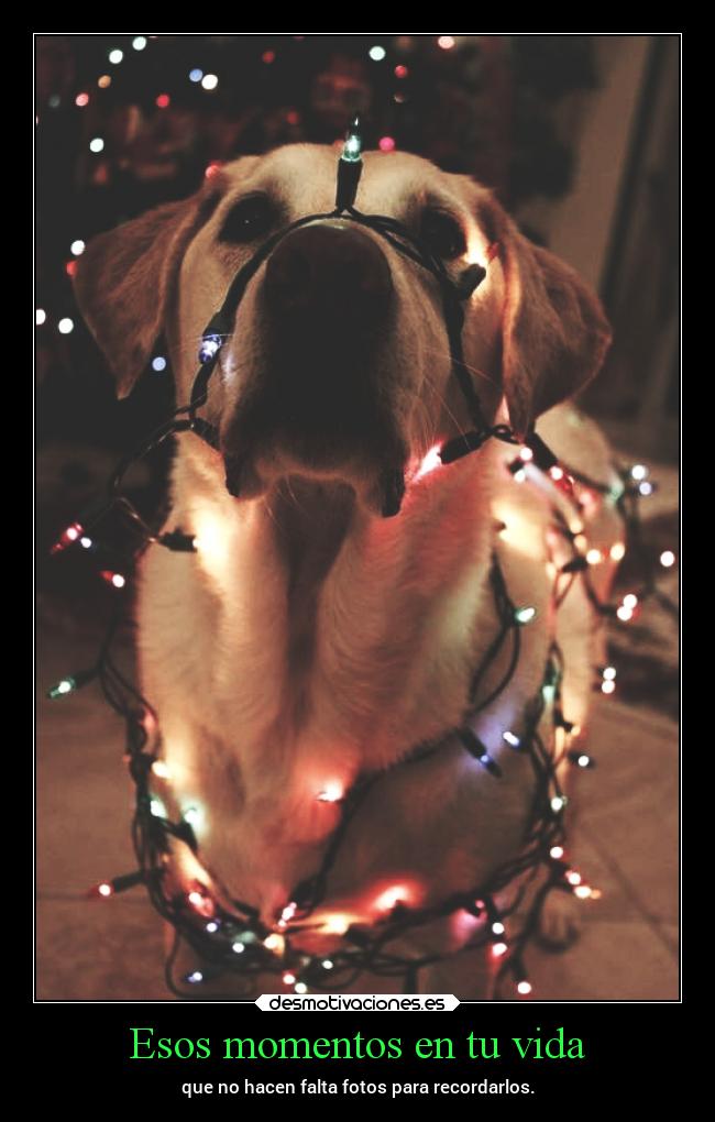 Esos momentos en tu vida - 